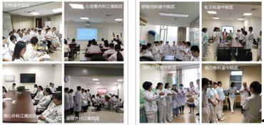 医科大学爆料事件最新情况,真相逐步浮出水面，最新进展揭秘