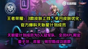 皮肤优化最新爆料,科技与自然的完美融合