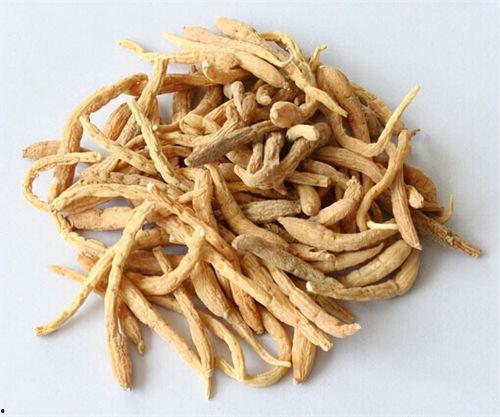 老姜爆料视频大全最新版,揭秘娱乐圈最新动态