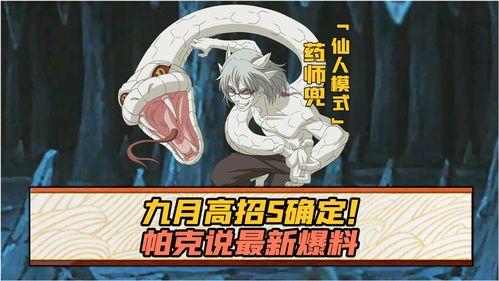 帕克最新爆料解说,最新爆料背后的真相与内幕