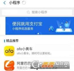 小程序最新爆料看点在哪,揭秘热点看点与功能革新